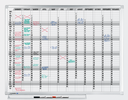 PROFESSIONAL year planner 365 days 90x120cm