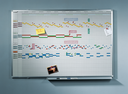 PROFESSIONAL year planner 12 months 100x150cm