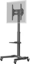TV Presentation Stand Basic (Size L)