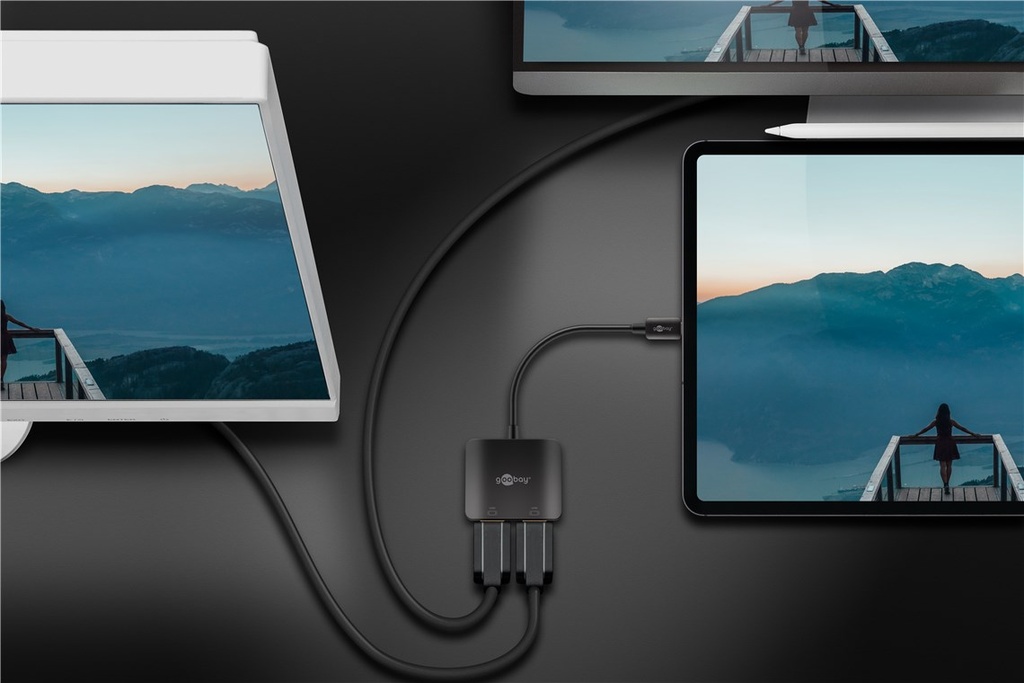 USB-C™ Adapter to 2x HDMI™