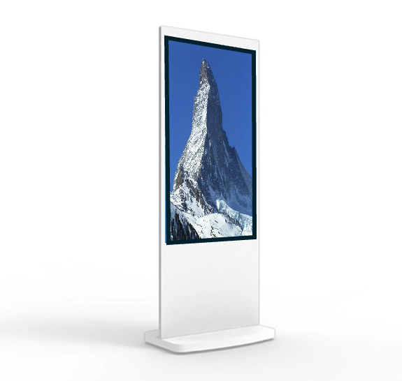 Syna-Vita LCD Poster