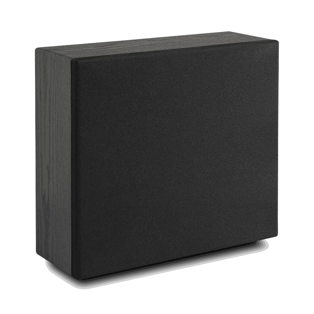 CSUB black_02.webp