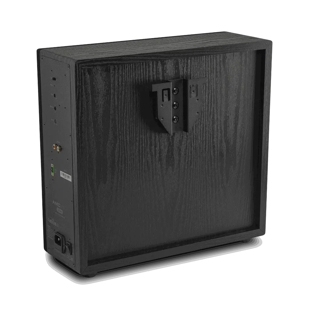CSUB black_03.webp