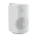Viva-3-302WT-2 copy.webp