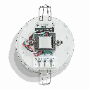 PCR-2T-3.webp