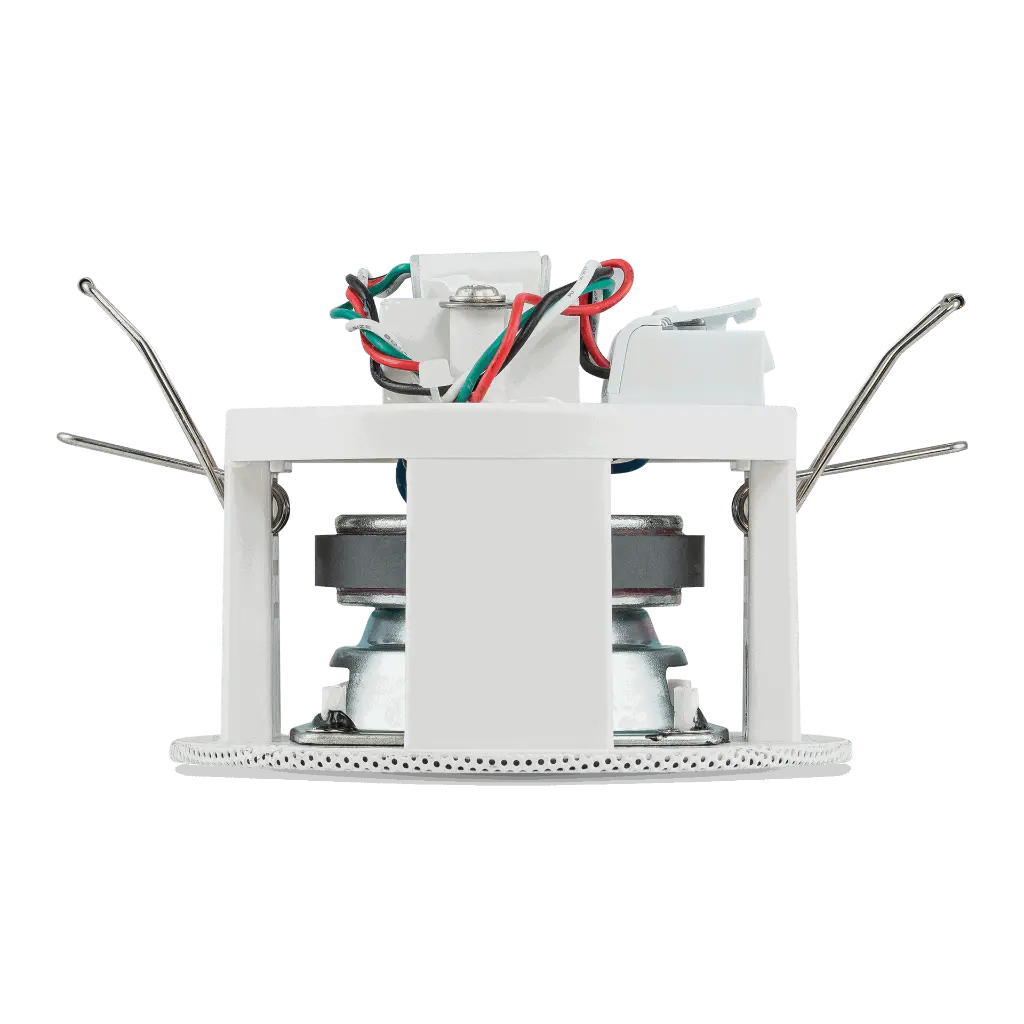 PCR-2T-4.webp