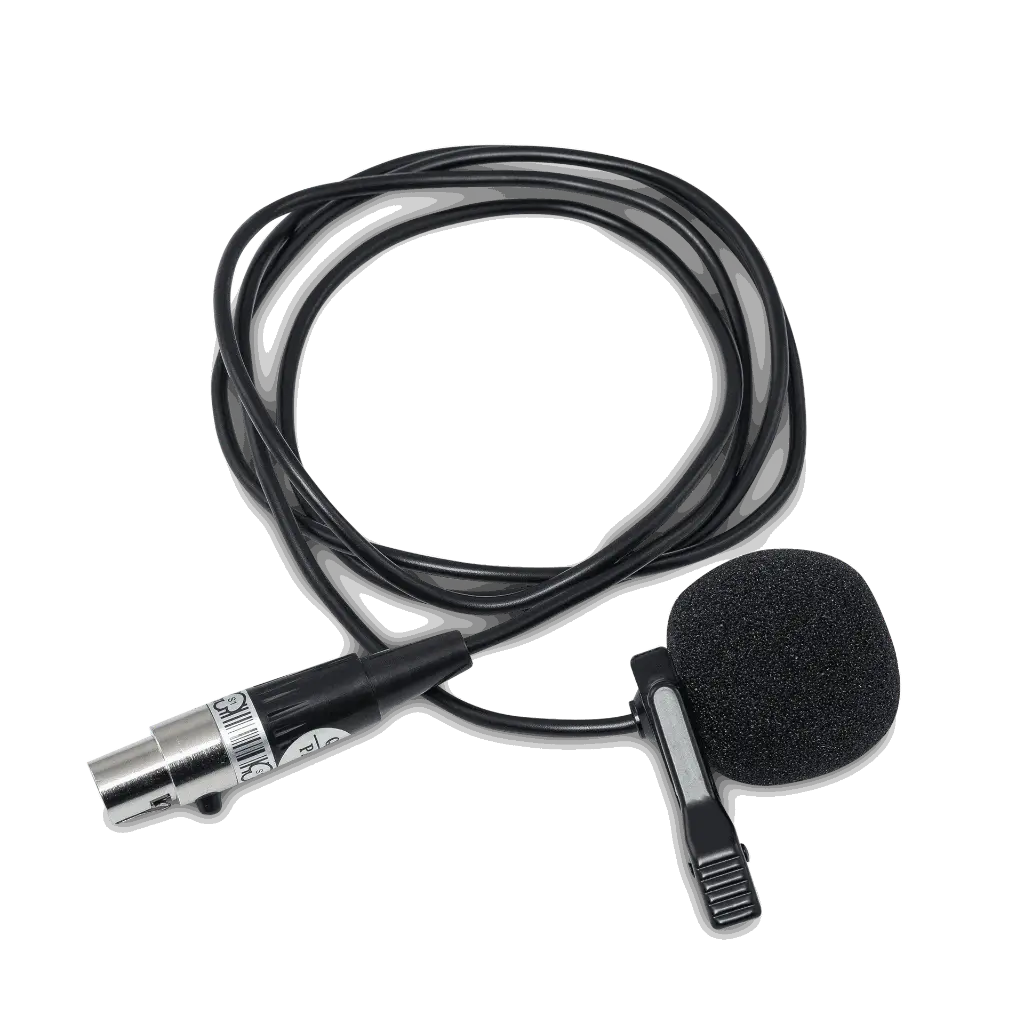 iLive 12LM copy.webp