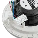 PCR-5T-6 copy.webp