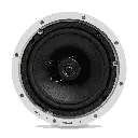 PCR-8T-5 copy.webp